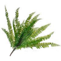Растение искусственное "Папоротник", 58 см