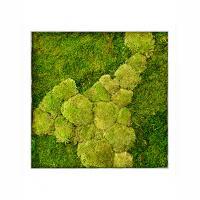 Панель Nieuwkoop из стабилизированного мха "Moss painting Superline % ball - % plattmoss"