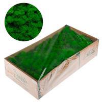 Мох стабилизированный "Ягель", 500 г