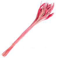 Букет из сухих колосовых культур "Могар", H60 см