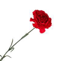 Цветок искусственный "Гвоздика"