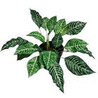 Растение искусственное "Афеландра" , 42 см