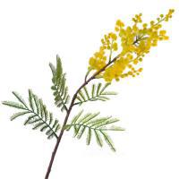 Ветка искусственная "Мимоза", 61 см