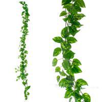 Растение искусственное "Потос ампельный пестрый", 220 см