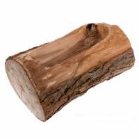 Кашпо из ствола, D10х25х5 см