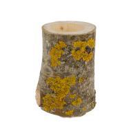 Спил дерева "С углублением"