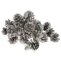 Набор шишек декоративных, D4-5 см, 250 гр