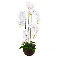 Растение искусственное "Фаленопсис" в кашпо 5 веток, H115 см