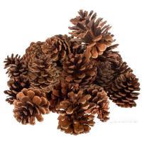 Набор шишек декоративных, D5-6 см, 250 гр