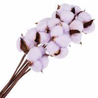 Набор хлопка на вставке, 35 см, (10 шт)