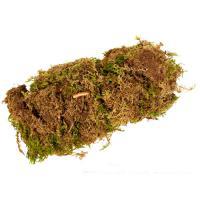 Мох "Лесной", 60 г
