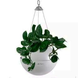 Кашпо LECHUZA BOLA