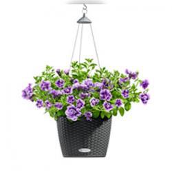 Кашпо LECHUZA NIDO Cottage - подвесные кашпо