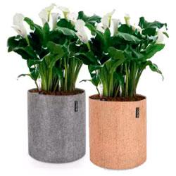 Кашпо LECHUZA TRENDCOVER