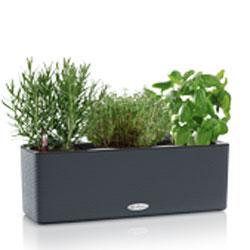 Кашпо LECHUZA BALCONISSIMA Color / CUBE Color Triple