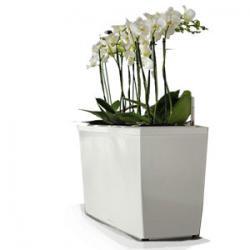 Кашпо LECHUZA CARARO