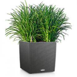 Кашпо LECHUZA CUBE, CUBE Color, CUBE Cottage, CUBE LS