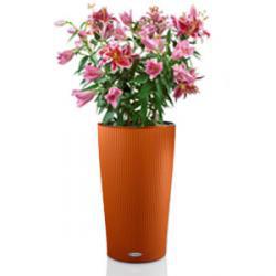 Кашпо LECHUZA CILINDRO COLOR