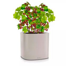 Кашпо LECHUZA PILA