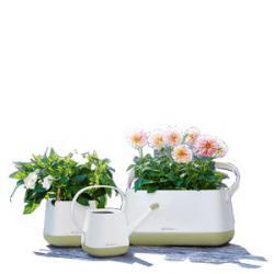 Кашпо LECHUZA YULA