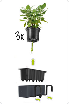 В комплект входят