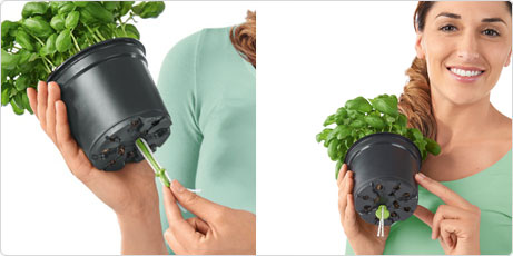 В комплект входят