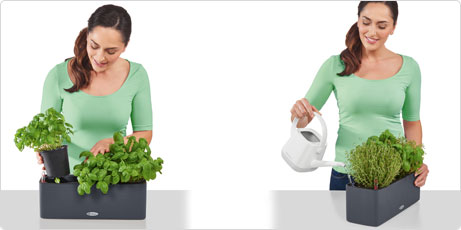 В комплект входят