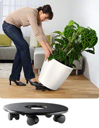 В комплект входят